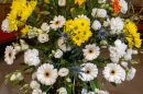 Flowers in the Sanctuary