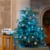 Tree and Advent Calendars from the Blue Christmas Service