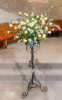 Flowers in the Sanctuary
